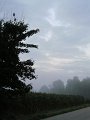 IMG_6438