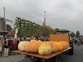 IMG_6703