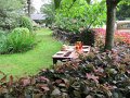 IMG_0485