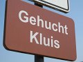 IMG_5239