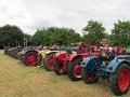 IMG_2381