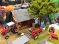 IMG_5251