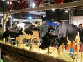 IMG_2468