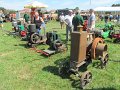 IMG_9856