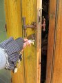 IMG_1884
