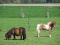 IMG_9145