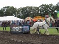 IMG_4297