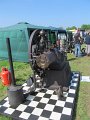 IMG_1520
