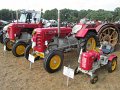 IMG_7981