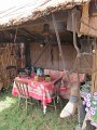 IMG_8923