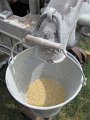 IMG_9066
