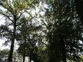 IMG_6081