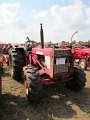 IMG_3503