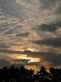 IMG_1452