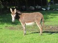 IMG_8905