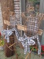 IMG_5930