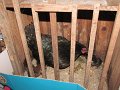 IMG_6150
