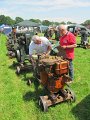 IMG_7991