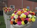 IMG_3119
