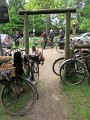 IMG_3693