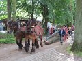 IMG_1287