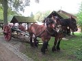 IMG_1288