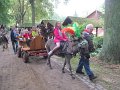 IMG_1289