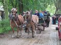 IMG_1291