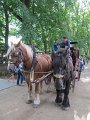 IMG_1292