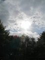 IMG_1341