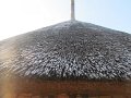 IMG_3928