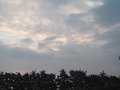 IMG_4933