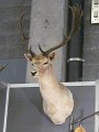 IMG_5755