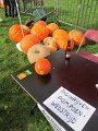 IMG_5490