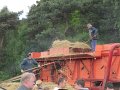 IMG_2559