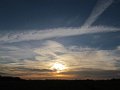 IMG_7965