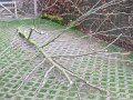 IMG_7890