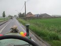 IMG_5901