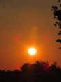 IMG_2157