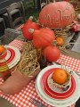 IMG_2435