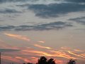 IMG_2829