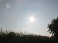 IMG_2835