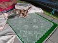 IMG_8654