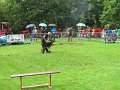 IMG_8677
