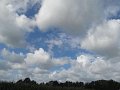 IMG_8942