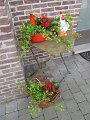 IMG_9000