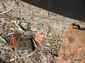 IMG_1196