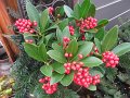 IMG_1571
