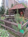 IMG_2362