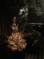 IMG_2482